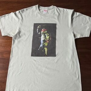 Supreme Ninja Turtle Graphic Tee in Light Green